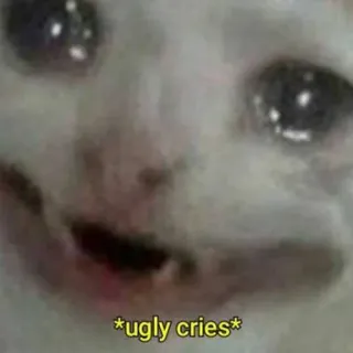 😭 5e8e377f *ugly cries* gato, llorando, feo, meme, triste, lágrimas telegram sticker
