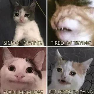 😭 bbe70655 SICK OF CRYING
TIRED OF TRYING
YEAH I'M SMILING
BUT INSIDE I'M DYING gato, meme, triste, llorando, sonriendo, muriendo, emocional telegram sticker
