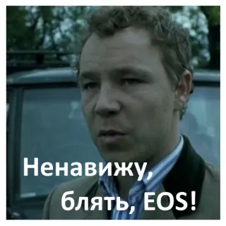❤️ 6de06aa6 Ненавижу, блять, EOS! telegram sticker