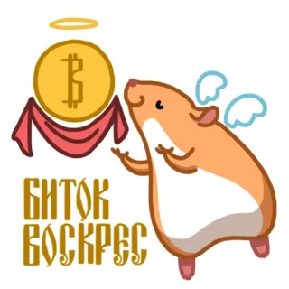 ✨ 6763f3af БИТОК ВОСКРЕС bitcoin, hamster, currency, angel telegram sticker