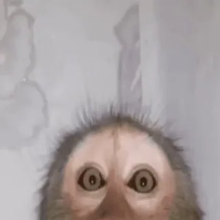 🤯 3afe0487 telegram sticker