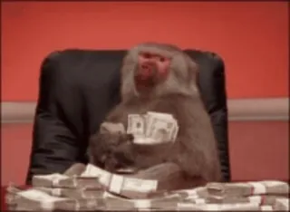 crypto monkey :: @CryptanCoder telegram stickers