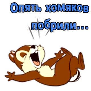 🐹 10eefa86 Опять хомяков побрили... 햄스터, 동물, 만화, 러시아어, 텍스트, 웃긴 telegram sticker