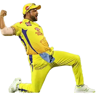 😊 251ae27a Cricket, Thể thao, Vận động viên, Ăn mừng telegram sticker