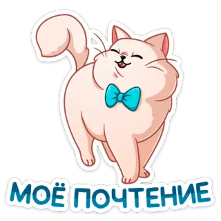 ☺️ b6e2fbc9 МОЁ ПОЧТЕНИЕ แมว, การ์ตูน, ทักทาย, น่ารัก, สัตว์, หูกระต่าย telegram sticker