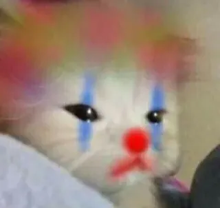 🍥 34c07564 kucing, badut, sedih, makeup, binatang, hewan peliharaan, lucu, meme telegram sticker