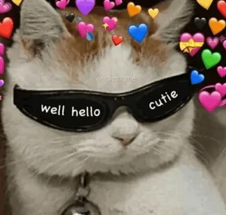 🍥 39ce005d well hello cutie kucing, kacamata hitam, hati, meme, imut, halo, imut telegram sticker