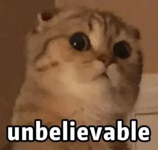 🍥 66ebc85f unbelievable kucing, meme, luar biasa, lucu, imut, hewan telegram sticker