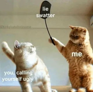 🍥 b2fe2bed lie swatter
you, calling yourself ugly
me kucing, meme, humor, lucu, bohong, pemukul lalat, jelek, merendahkan diri telegram sticker