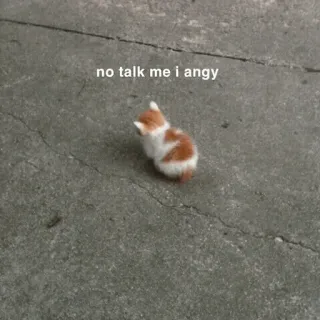 🍥 b7d0c865 no talk me i angy kucing, marah, meme, anak kucing, humor, hewan telegram sticker