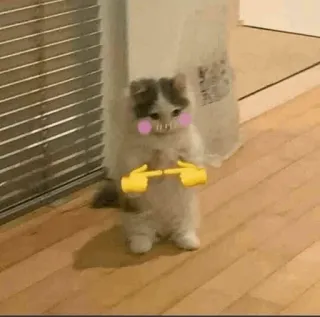 🍥 c7778057 kucing, malu, binatang, kawaii, imut, emoji, jari telegram sticker