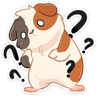 ❓ 13c2821b cochon d'Inde, animal, mignon, point d'interrogation, animal de compagnie, dessin animé, curieux telegram sticker