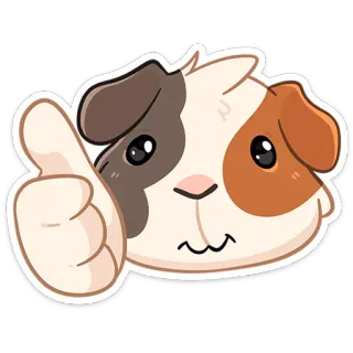 👍 433655c1 cochon d'Inde, rongeur, pouce en l'air, animal, mignon, animal de compagnie telegram sticker