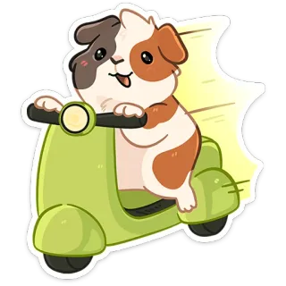🛵 5669312b cochon d'inde, trottinette, animal, dessin animé, mignon, animal de compagnie telegram sticker