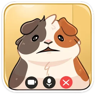 🐹 7104ba6c cochon d'Inde, appel vidéo, mignon, animal, dessin animé, animal de compagnie telegram sticker