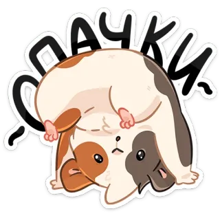 🙃 a6729960 OAUHKU cochon d'Inde, animal, autocollant, drôle, mignon telegram sticker