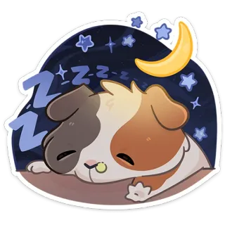 😴 c84b37da cochon d'Inde, dormir, mignon, animal, dessin animé, autocollant, lune, étoiles, nuit telegram sticker