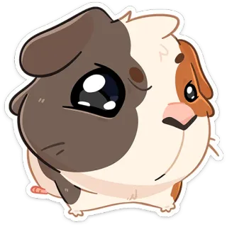 🤨 ce795844 cochon d'Inde, animal, animal de compagnie, mignon, kawaii, dessin animé telegram sticker