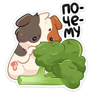 🥦 e7b25d9e почему cochon d'inde, brocoli, légume, mignon, animal, russe, question telegram sticker