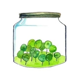 ☹️ 8c15d1fc bocal, arbres, nature, vert, environnement, aquarelle, illustration telegram sticker