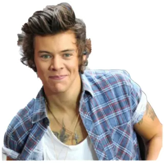 😃 11943301 Harry Styles คนดัง, นักร้อง, ป๊อปสตาร์, แฮร์รี่ สไตลส์ whatsapp sticker