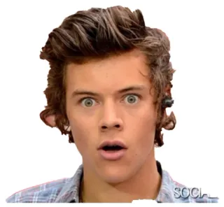 😳 ccb11312 Harry Styles แฮร์รี่สไตล์ส, ตกใจ, ประหลาดใจ, ภาพเหมือน, คนดัง whatsapp sticker