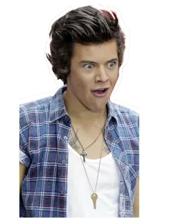 😳 df81224f Harry Styles คนดัง, นักร้อง, ภาพเหมือน, ผู้ชาย, ตกใจ, ประหลาดใจ whatsapp sticker