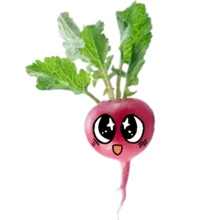 🤩 4921a804 rábano, verdura, comida, dibujos animados, kawaii, lindo whatsapp sticker