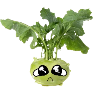 🥺 7c77982a colirrábano, verdura, mono, triste, kawaii, comida, planta, ojos whatsapp sticker