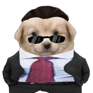 🙂 2c086a99 chó, bộ com lê, kính râm, cà vạt, hài hước, động vật telegram sticker