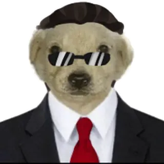 😑 b4fdc869 chó, com lê, kính râm, thú cưng, động vật, ngầu, kinh doanh, cà vạt telegram sticker