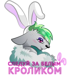 😚 b0ccb4a2 СЛЕДУЙ ЗА БЕЛЫМ КРОЛИКОМ 兔子, 关注, 白色, 动物, 卡通 telegram sticker