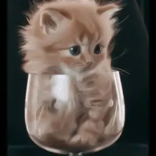 ♻️ 086a5799 小猫, 猫, 玻璃, 可爱, 动物, 宠物 telegram sticker