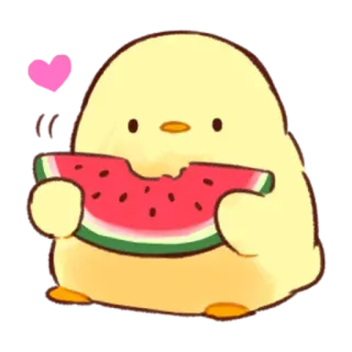 🍉 7b0b5791 chick, watermelon, cute, heart telegram sticker