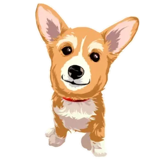 Corgi Dog @stickersb2b whatsapp stickers