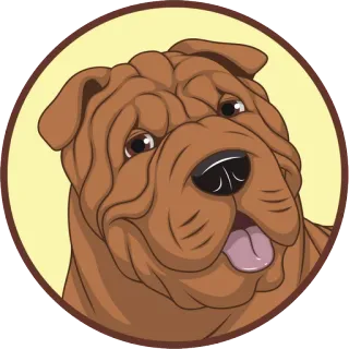 😁 543ff125 anjing, Shar Pei, hewan peliharaan, binatang, potret, imut, keriput telegram sticker