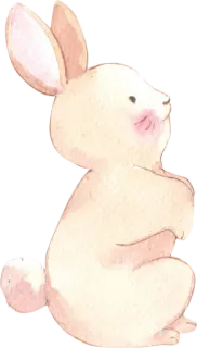 🐰 fa349270 Hase, Kaninchen, Aquarell, Tier, süß telegram sticker