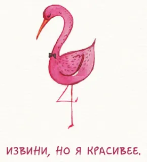 🐦 b5be1a38 ИЗВИНИ, НО Я КРАСИВЕЕ. flamingo, burung, hewan, imut, cantik telegram sticker