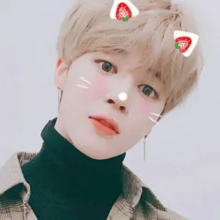 ☺ 15e597e8 orang, korea, imut, filter, stroberi, wajah, jimin whatsapp sticker