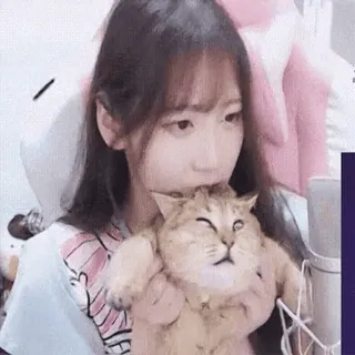 😺 2666aa3d 여자, 소녀, 고양이, 애완동물, 귀여운, 반려동물 telegram sticker