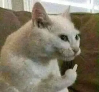 🖕 60e7328e кот, средний палец, оскорбительный, мем, животное telegram sticker