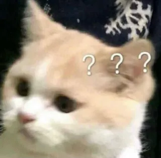 🥲 cbc68354 ??? кот, в замешательстве, вопрос, мем, питомец telegram sticker