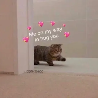 🥺 dbec437a Me on my way to hug you кот, объятия, сердечки, милый, животное, мем telegram sticker