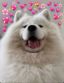 cuties | @sexibeast telegram stickers