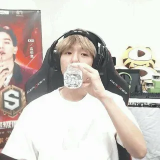 ❄️ c9775f0d EXO exo, kpop, musik, orang, penyanyi whatsapp sticker