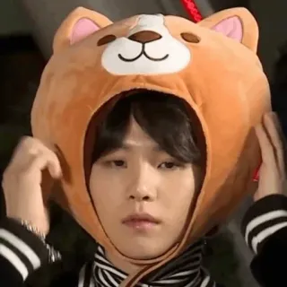 🍪 24299b5b persona, cappello, carino, cappello cane whatsapp sticker