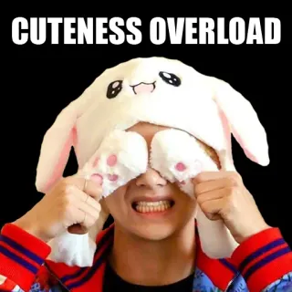 🥰 f793542d CUTENESS OVERLOAD uroczy, królik, kapelusz, mem, śmieszne telegram sticker