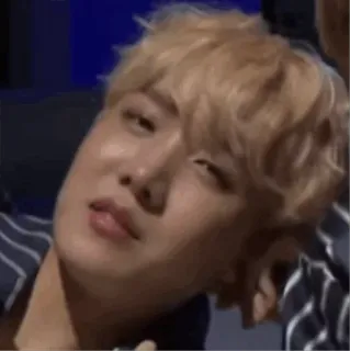 🖤 01352aee telegram sticker