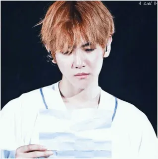 🐚 19d11b74 whatsapp sticker