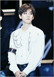 🕸 2c843dfe whatsapp sticker